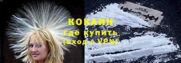 шишки Алексин